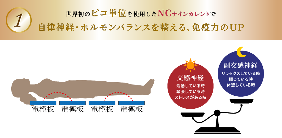 世界初のピコ単位を使用したNCナインカレントで自律神経・ホルモンバランスを整える、免疫力のＵＰ